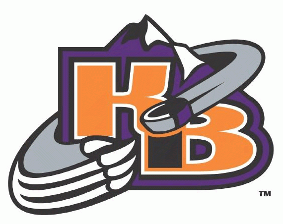 knoxville ice bears 2004-pres alternate logo iron on heat transfer